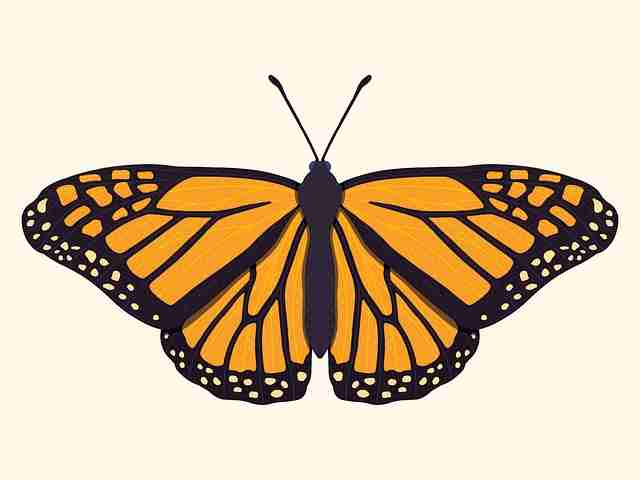 91在线体验分享：爆点逻辑深读