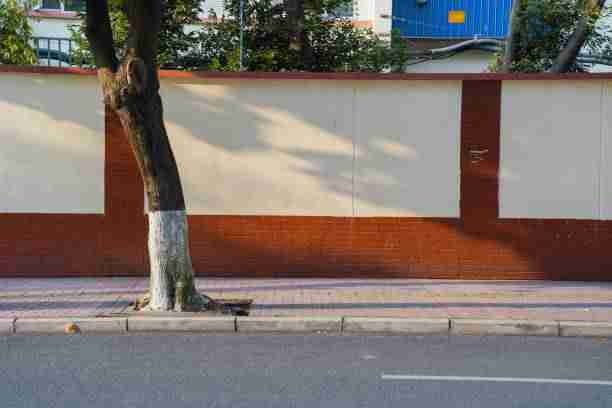 17吃瓜网——瓜主成长瓜田观察核心要点