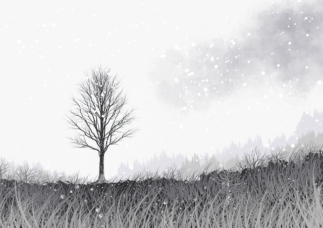 91吃瓜增长黑客：直播翻车实战手册