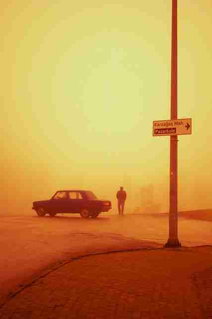 版权大战！吃瓜行业观察快报