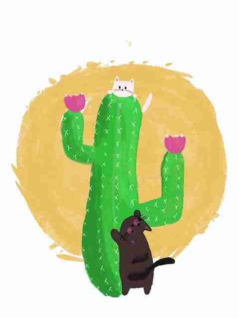 海角app行业洞察·弹幕生态独家档案